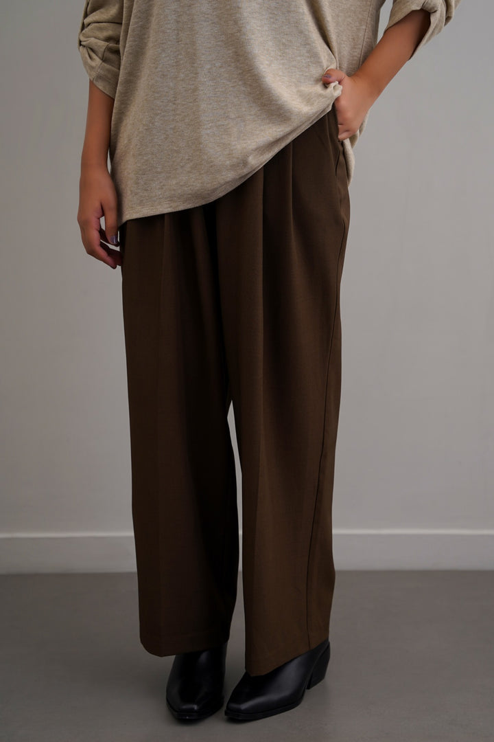 BROWN WORKDAY PLEATED PANTS