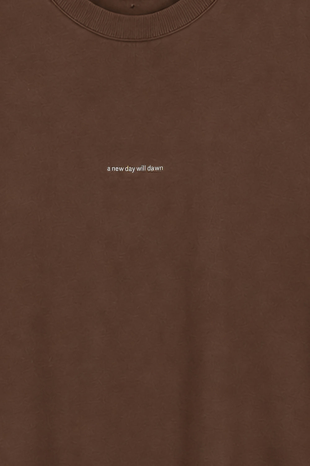 BROWN WORDS HAVE TWO MEANINGS TEE