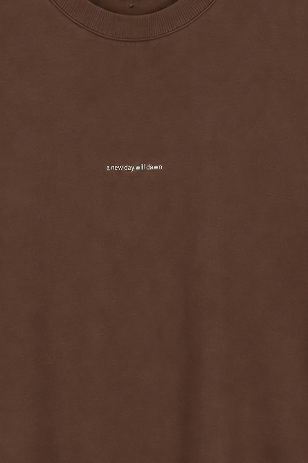 BROWN WORDS HAVE TWO MEANINGS TEE