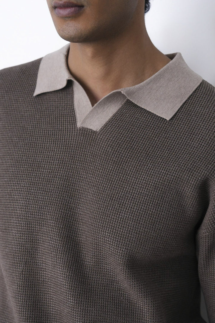 BROWN CONTRAST COLLAR POLO