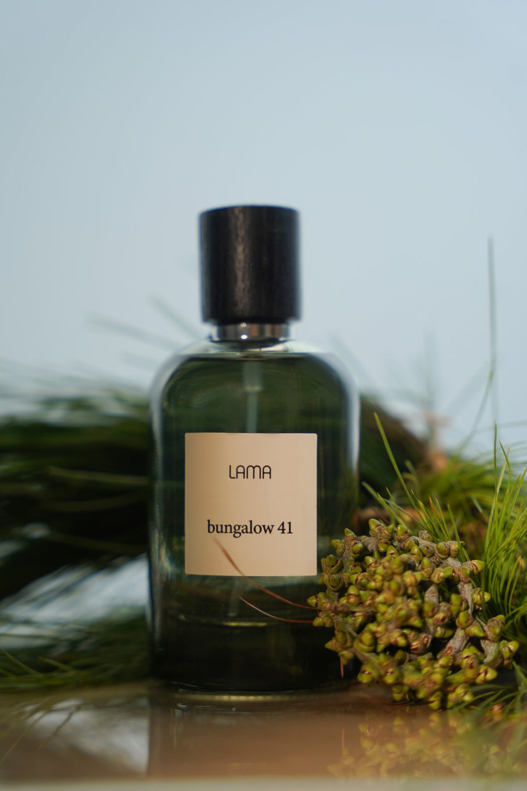 SUMMER CITRUS PERFUME LAMA