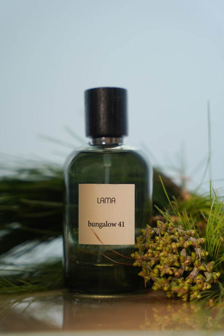 SUMMER CITRUS PERFUME LAMA