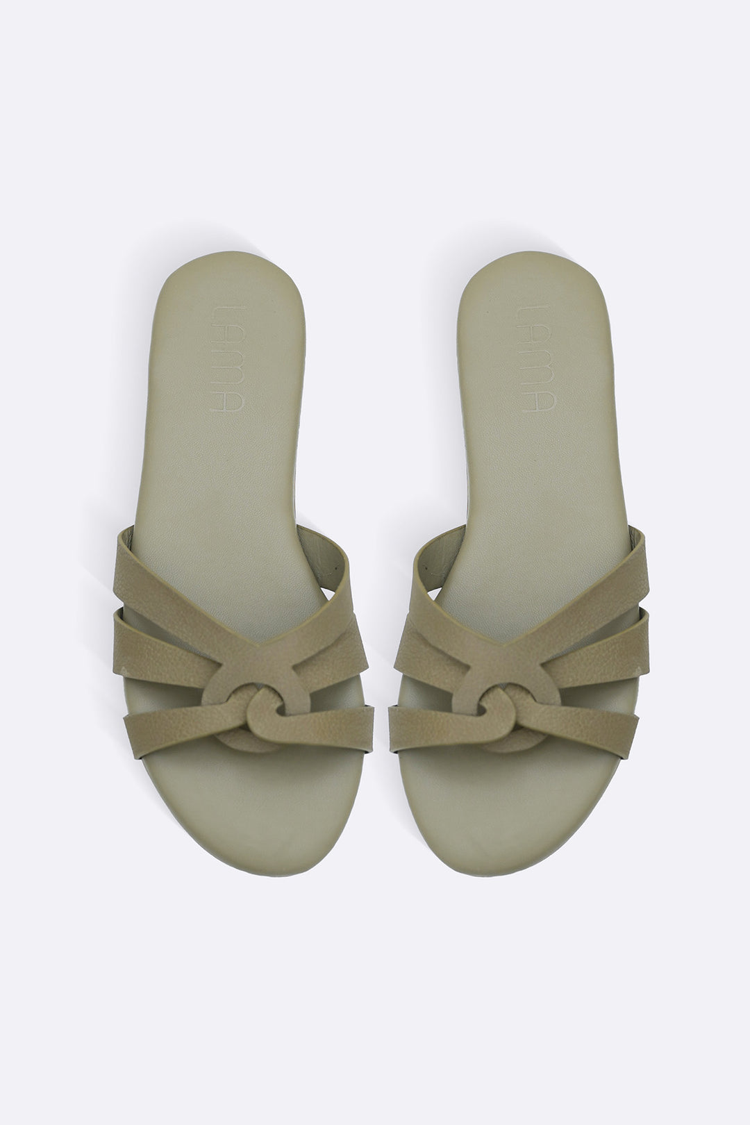 OLIVE RENO DAY SLIDES