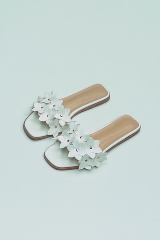 EVERYDAY DAISY SLIDES